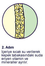 Parboil 2. Adım